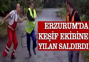 Erzurum da keşif ekibine yılan saldırdı!